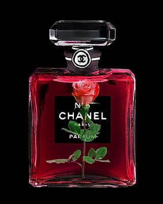 Painted red roses on a dark background